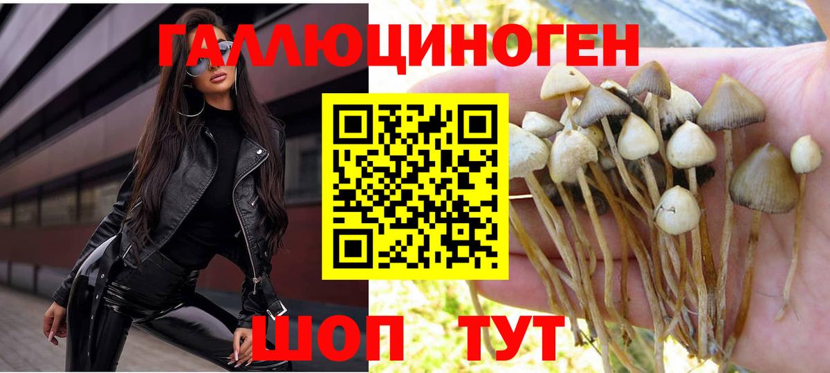 Псилоцибиновые грибы Magic Shrooms Ревда